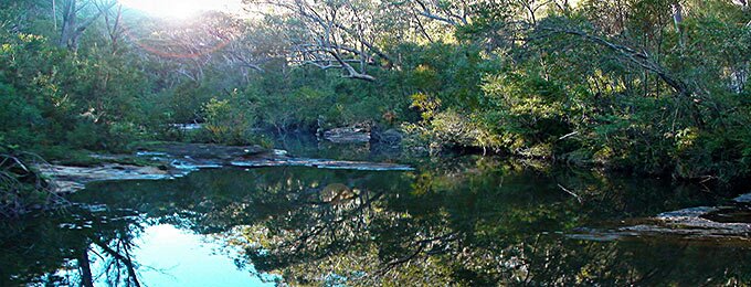 Save our water catchments!